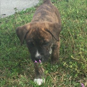 Meet your Posher, Lori